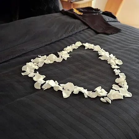 Apartment Black Romance *