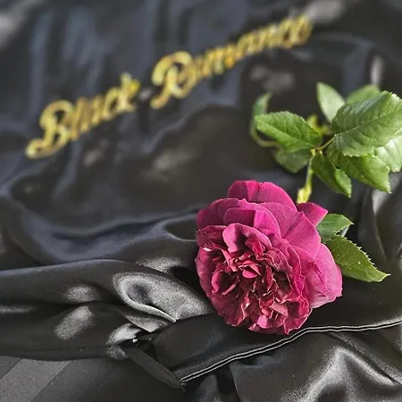 Black Romance Apartment *