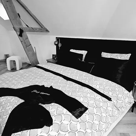 Black Romance Apartment